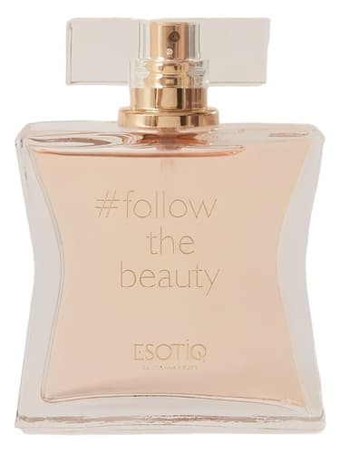 Follow The Beauty - The Beauty را دنبال کنید