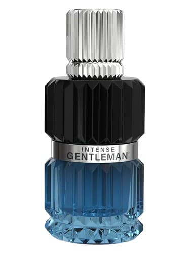 Intense Gentleman - جنتلمن شدید