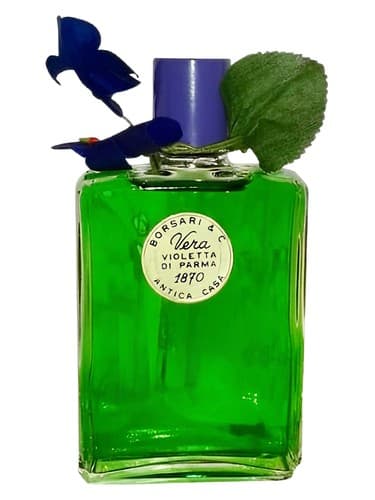 Vera Violetta di Parma