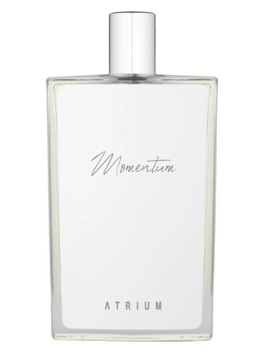 Momentum - تکانه
