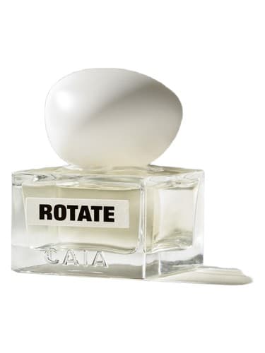 The Rotate - چرخش