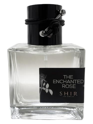 The Enchanted Rose - رز طلسم شده