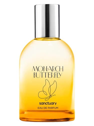 Monarch Butterfly - پروانه کینگ