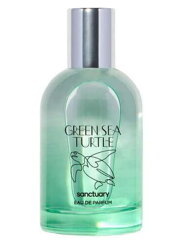 Green Sea Turtle - لاک پشت گرین سی