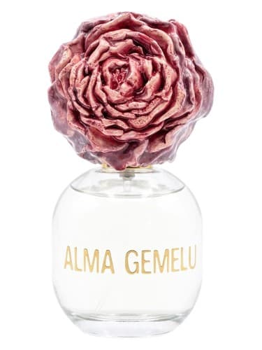 Rosa di Fiore