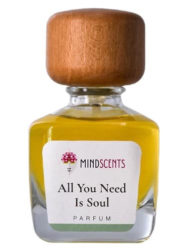 All You Need Is Soul - تنها چیزی که نیاز دارید روح است