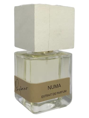 Numa - نوما