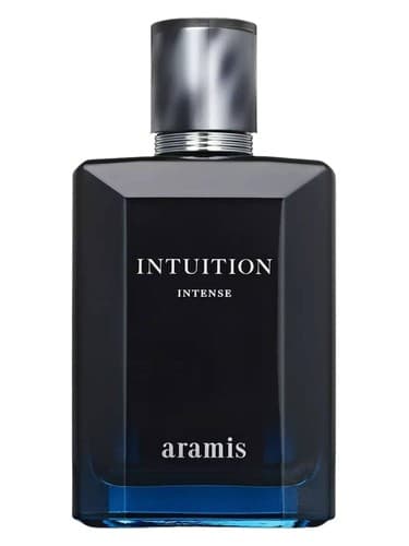 Intuition Intense