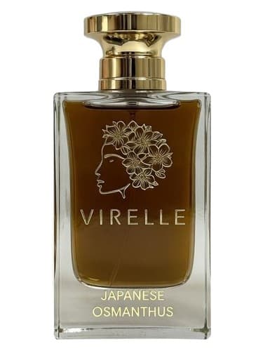 Japanese Osmanthus - اسمانتوس ژاپنی
