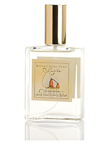The Spirits of Lavender
