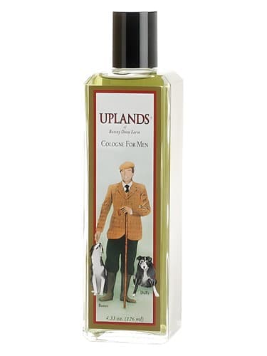 Uplands - ارتفاعات