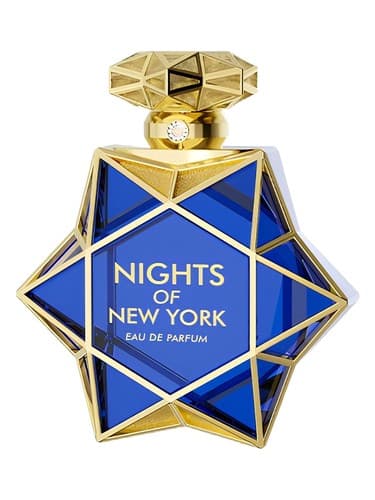 Nights Of New York - نایت های نیویورک