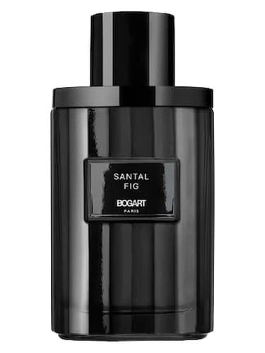 Santal Fig
