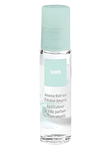 Spirit - روح