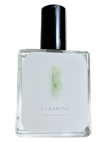 Clearing - پاکسازی