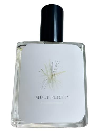 Multiplicity - کثرت