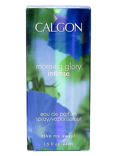 Morning Glory - جلال صبح