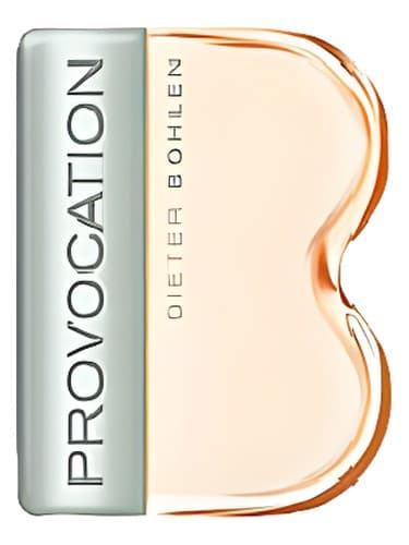 Provocation for Women - تحریک برای زنان