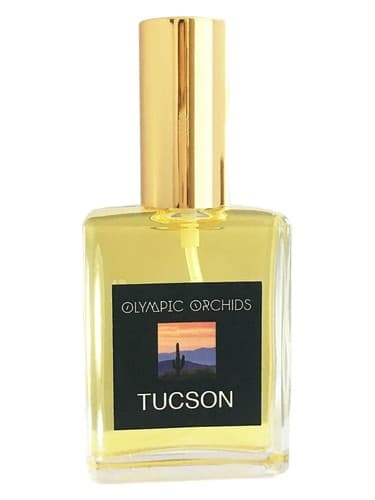 Tucson - توسان