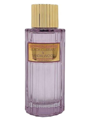 Black Currant & Sandalwood - توت بلک و وود صندل