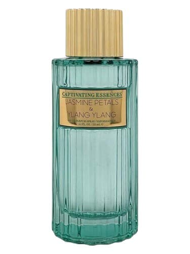 Cashmere & Coconut