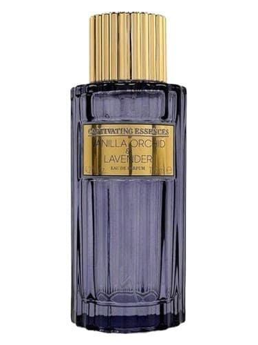 Vanilla Orchid & Lavender - ارکیده وانیلی و اسطوخودوس