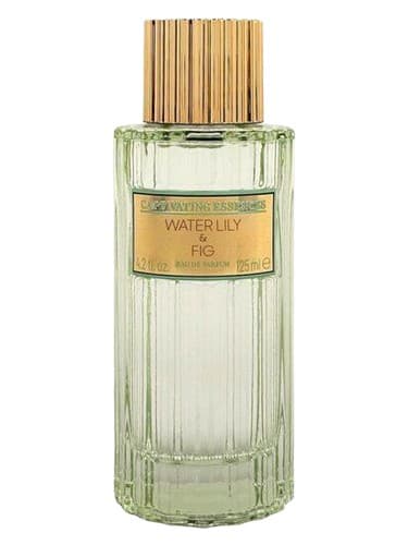 Water Lily & Fig - نیلوفر بلو و انجیر