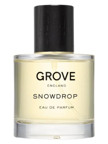 Snowdrop - گل برفی