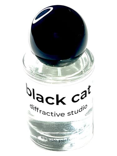 Black Cat - گربه بلک