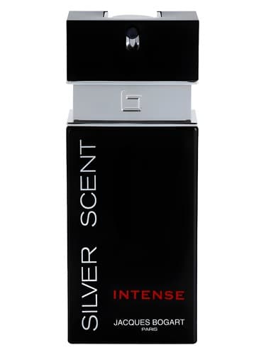 Silver Scent Intense - رایحه سیلور شدید