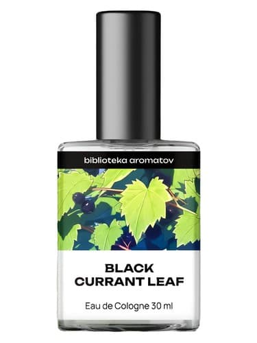 Black Currant Leaf - برگ توت بلک