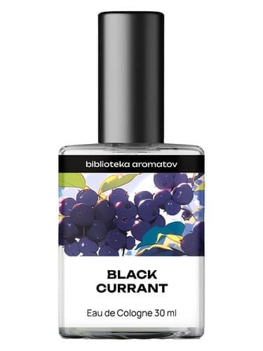 Black Currant - توت بلک