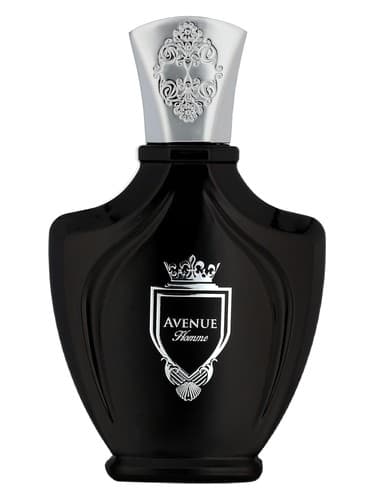 Avenue Homme