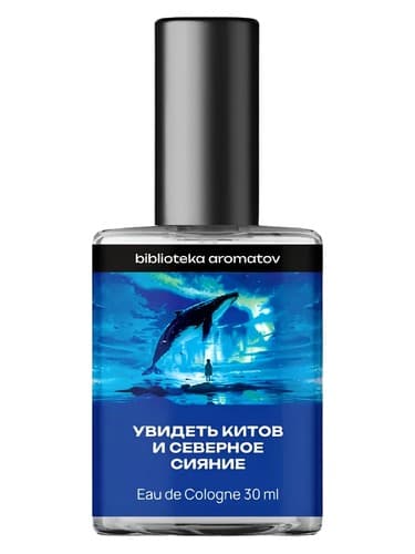 Watching whales and the northern lights (Увидеть китов и северное сияние) - تماشای نهنگ ها و شفق های شمالی (Увидеть китов и северное сияние)