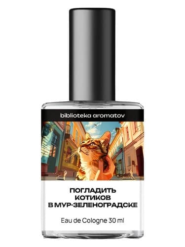 Stroking the cats in Mur-Zelenogradsk (Погладить котиков в Мур-Зеленоградске) - نوازش گربه ها در Mur-Zelenogradsk (Pogladitь котиков в Мур-Зеленоградске)