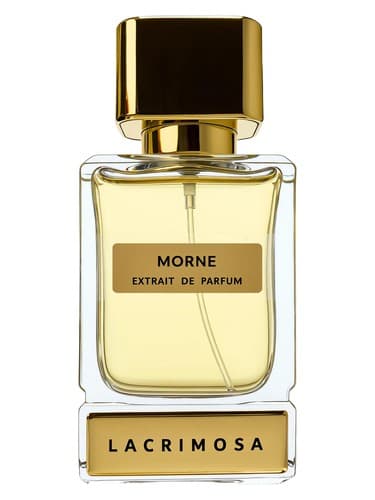 Morne - صبح
