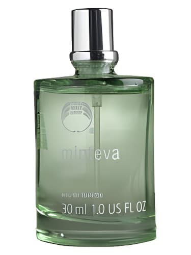Minteva
