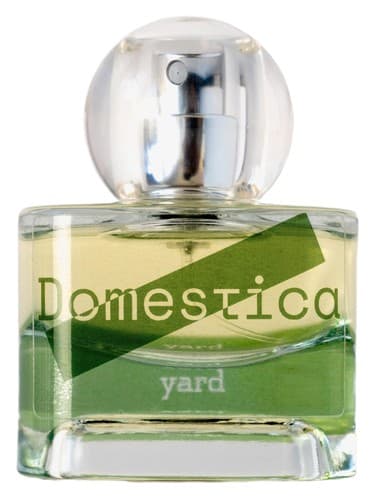 Yard - حیاط