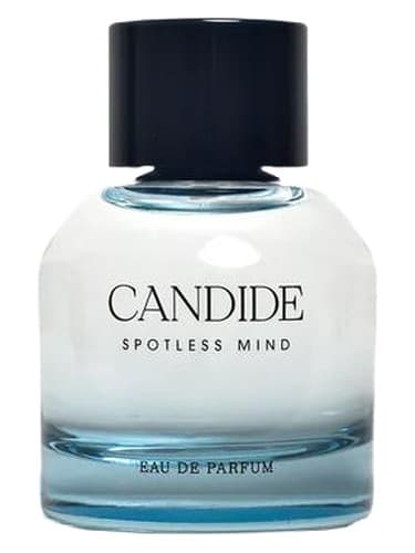 Candide Spotless Mind