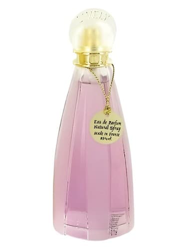 Lively For Woman