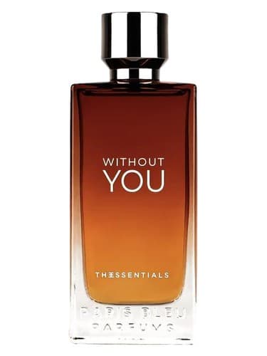 Without You - بدون تو