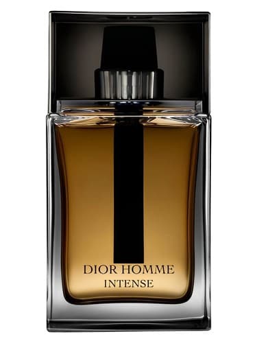 Dior Homme Intense 2011 