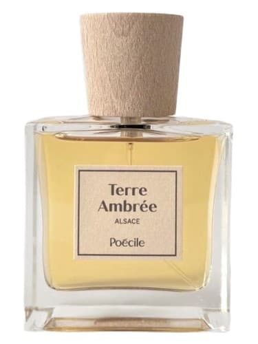 Terre Ambrée