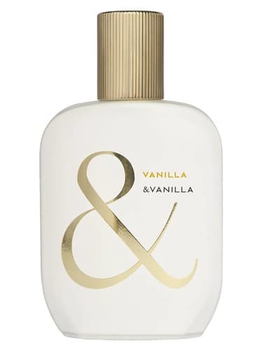 Vanilla - وانیلا