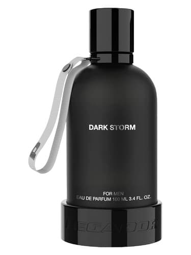 Dark Storm