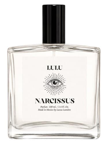 Narcissus - نرگس
