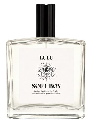 Soft Boy - پسر نرم