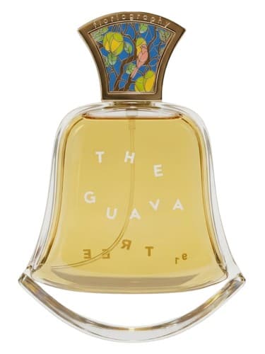 No. 97 The Guava Tree - شماره 97 درخت گواوا