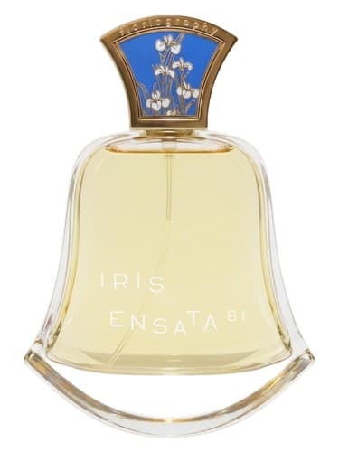 No. 18 Iris Ensata - شماره 18 آیریس انساتا