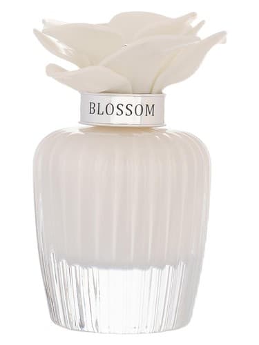Nasma White Blossom - نسما شکوفه وایت